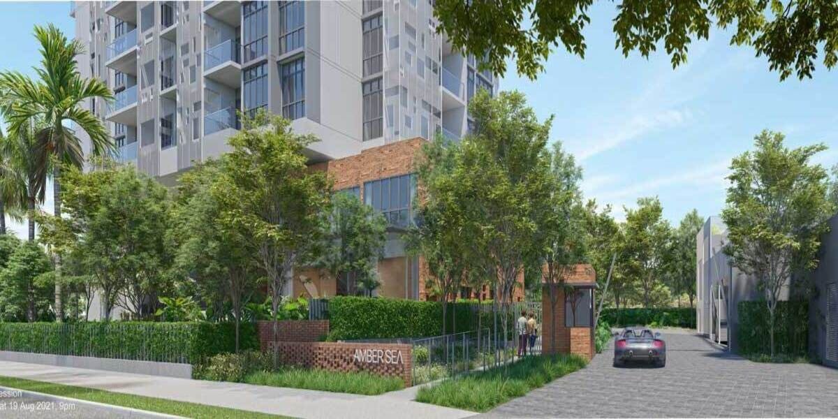 amber-sea-1a-featured.jpg amber-sea-1a-featured.jpg