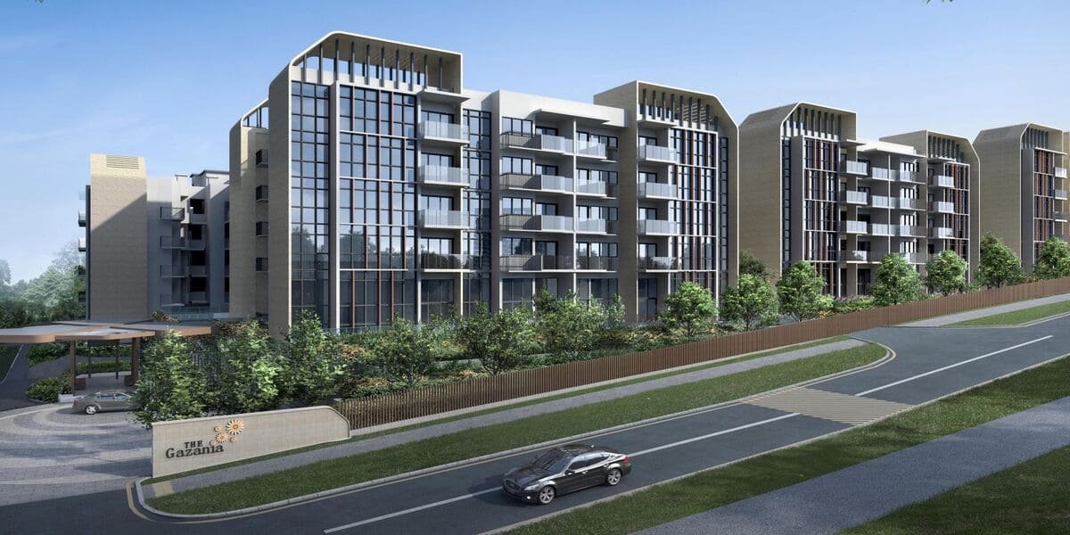 the-gazania-1a-featured.jpg the-gazania-1a-featured.jpg