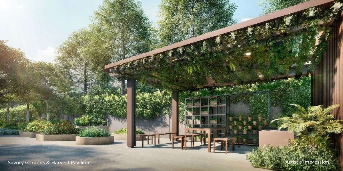 the-watergardens-at-canberra-savory-garden.jpg the-watergardens-at-canberra-savory-garden.jpg